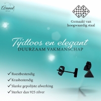 Stalen Oorbellen Driehoek Zwart &acirc;&euro;&ldquo; 6mm -