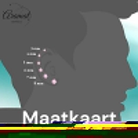 Stalen Oorbellen Driehoek Zwart &acirc;&euro;&ldquo; 5mm -