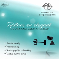 Stalen Oorbellen Driehoek Zwart &acirc;&euro;&ldquo; 5mm -