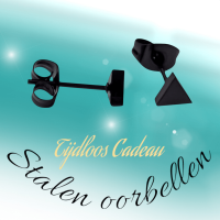 Stalen Oorbellen Driehoek Zwart &acirc;&euro;&ldquo; 5mm -