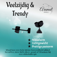 Stalen Oorbellen Driehoek Zwart &acirc;&euro;&ldquo; 4mm -