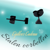 Stalen Oorbellen Driehoek Zwart &acirc;&euro;&ldquo; 4mm -