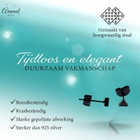 Stalen Oorbellen Driehoek Zwart &acirc;&euro;&ldquo; 4mm -