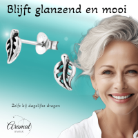 Zilveren Blaadje Oorbellen Antieklook &acirc;&euro;&ldquo; 7x4mm -