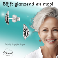 Zilveren Blaadje Oorbellen Antieklook &acirc;&euro;&ldquo; 8x3mm -
