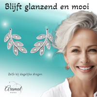 Zilveren Blaadje Oorbellen Zirkonia &acirc;&euro;&ldquo; 9x6mm -