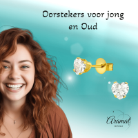 Zirkonia Hart Oorbellen Goudkleur &acirc;&euro;&ldquo; 5mm -