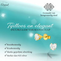Zirkonia Hart Oorbellen Goudkleur &acirc;&euro;&ldquo; 5mm -