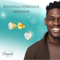 Zirkonia Hart Oorbellen Goudkleur &acirc;&euro;&ldquo; 5mm -