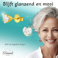 Zirkonia Hart Oorbellen Goudkleur &acirc;&euro;&ldquo; 5mm -