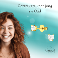 Zirkonia Hart Oorbellen Goudkleur &acirc;&euro;&ldquo; 4mm -