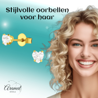 Zirkonia Hart Oorbellen Goudkleur &acirc;&euro;&ldquo; 4mm -