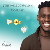 Zirkonia Hart Oorbellen Goudkleur &acirc;&euro;&ldquo; 4mm -