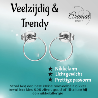 Open Cirkel Oorbellen Zilverkleur &acirc;&euro;&ldquo; 10mm - Heren