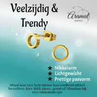 RVS Cirkel Oorbellen Goudkleur Open 10mm - Minimalistische Oorstekers -