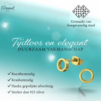 RVS Cirkel Oorbellen Goudkleur Open 10mm - Minimalistische Oorstekers -