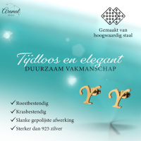 RVS Letter Y Oorbellen Goudkleurig &acirc;&euro;&ldquo; Initiaal -
