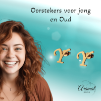RVS Letter Y Oorbellen Goudkleurig &acirc;&euro;&ldquo; Initiaal -
