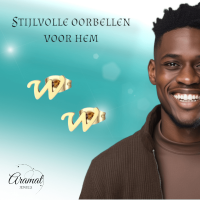 RVS Letter W Oorbellen Goudkleurig &acirc;&euro;&ldquo; Initiaal - Unisex
