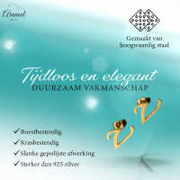 RVS Letter V Oorbellen Goudkleurig &acirc;&euro;&ldquo; Initiaal -