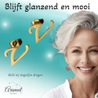 RVS Letter V Oorbellen Goudkleurig &acirc;&euro;&ldquo; Initiaal -