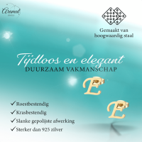 Goudkleurige RVS oorstekers Letter E -
