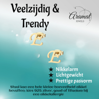 Goudkleurige RVS oorstekers Letter E -