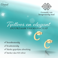 Goudkleurige RVS oorstekers Letter C -