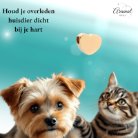 Goudkleurige asbedel hart &acirc;&euro;&ldquo; staal &acirc;&euro;&ldquo; 13mm - Heren