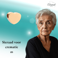 Goudkleurige asbedel hart &acirc;&euro;&ldquo; staal &acirc;&euro;&ldquo; 13mm - Heren
