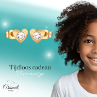 Hartjes oorstekers goudkleur &acirc;&euro;&ldquo; transparant kristal 8mm -