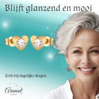 Hartjes oorstekers goudkleur &acirc;&euro;&ldquo; transparant kristal 8mm -