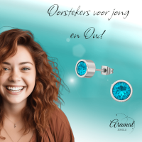 Aqua blauwe kristal oorstekers &acirc;&euro;&ldquo; 5mm zilver RVS -