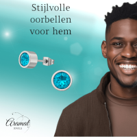 Aqua blauwe kristal oorstekers &acirc;&euro;&ldquo; 5mm zilver RVS -