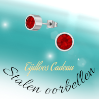 Rode kristal oorstekers &acirc;&euro;&ldquo; 5mm zilverkleur RVS -