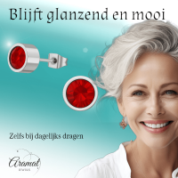 Rode kristal oorstekers &acirc;&euro;&ldquo; 5mm zilverkleur RVS -