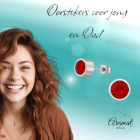 Rode kristal oorstekers &acirc;&euro;&ldquo; 5mm zilverkleur RVS -