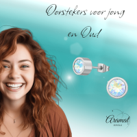 AB multikleur kristal oorstekers &acirc;&euro;&ldquo; 6mm zilver RVS -
