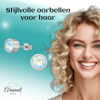 AB multikleur kristal oorstekers &acirc;&euro;&ldquo; 6mm zilver RVS -