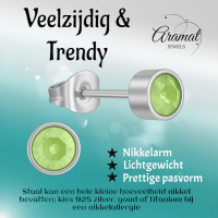 Lichtgroene kristal oorstekers &acirc;&euro;&ldquo; 5mm zilver RVS -