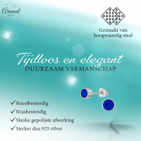 Donkerblauwe kristal oorstekers &acirc;&euro;&ldquo; 5mm zilver RVS -