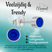 Donkerblauwe kristal oorstekers &acirc;&euro;&ldquo; 5mm zilver RVS -
