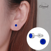Donkerblauwe kristal oorstekers &acirc;&euro;&ldquo; 5mm zilver RVS -