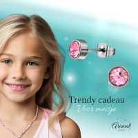 Roze kristal oorstekers &acirc;&euro;&ldquo; 5mm zilver RVS -