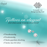 Transparante kristal oorstekers &acirc;&euro;&ldquo; 5mm zilver RVS -