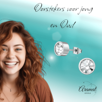 Transparante kristal oorstekers &acirc;&euro;&ldquo; 5mm zilver RVS -