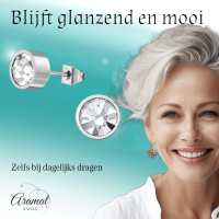 Transparante kristal oorstekers &acirc;&euro;&ldquo; 5mm zilver RVS -
