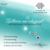 AB multikleur kristal oorstekers &acirc;&euro;&ldquo; 5mm zilver RVS -