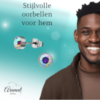 AB multikleur kristal oorstekers &acirc;&euro;&ldquo; 5mm zilver RVS -
