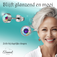 AB multikleur kristal oorstekers &acirc;&euro;&ldquo; 5mm zilver RVS -
